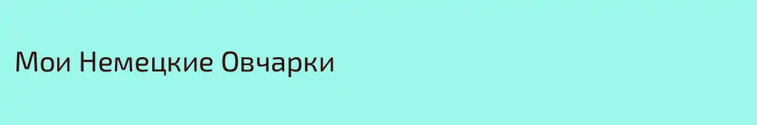 Мои Немецкие Овчарки